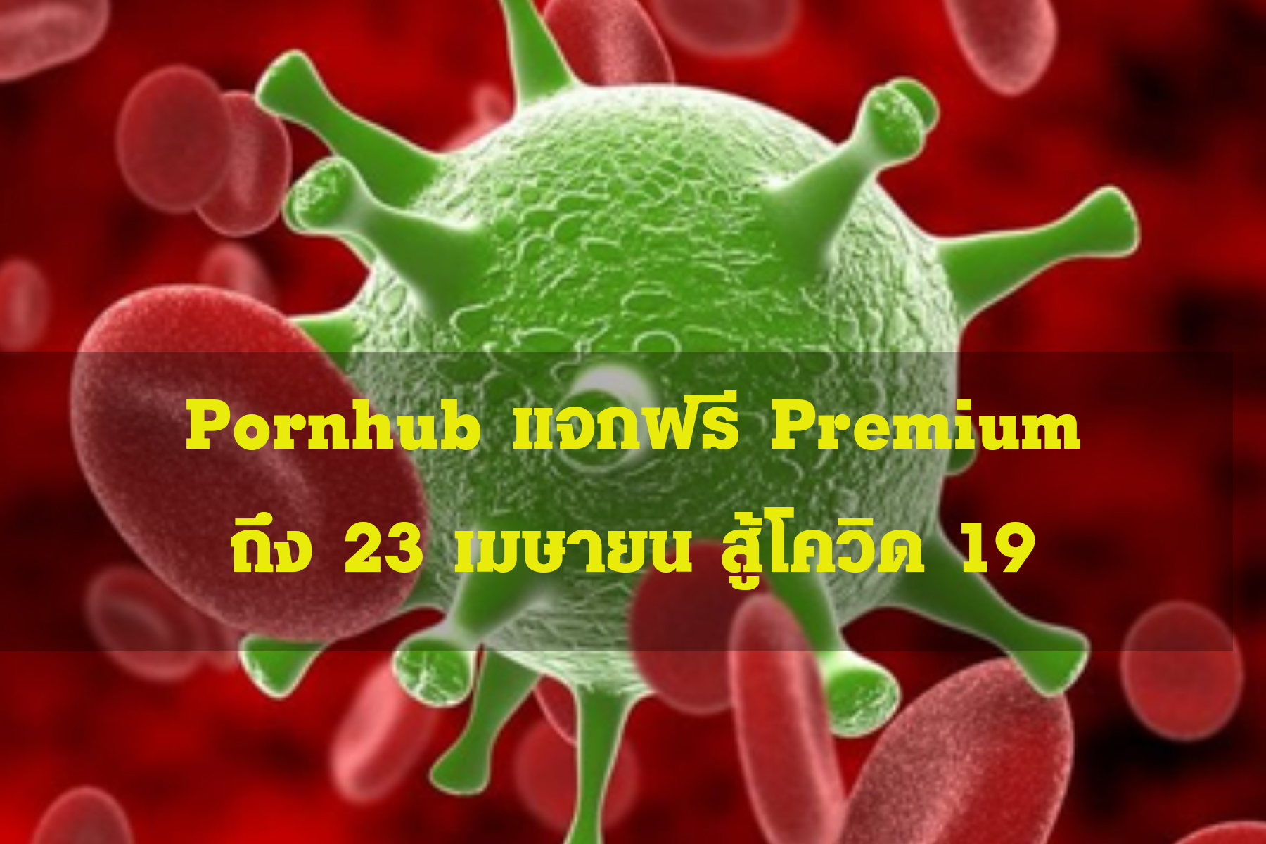 Pornhub แจกฟรี Premium ยาวเลยถึง 23 เมษายน สู้โควิด 19