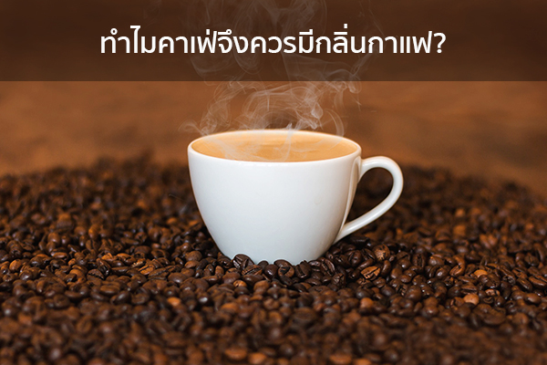 ทำไมคาเฟ่จึงควรมีกลิ่นกาแฟ? ข่าวน่ารู้ อัพเดทสถานการณ์ เรื่องเล่า สาระความรู้ คู่ความบันเทิง