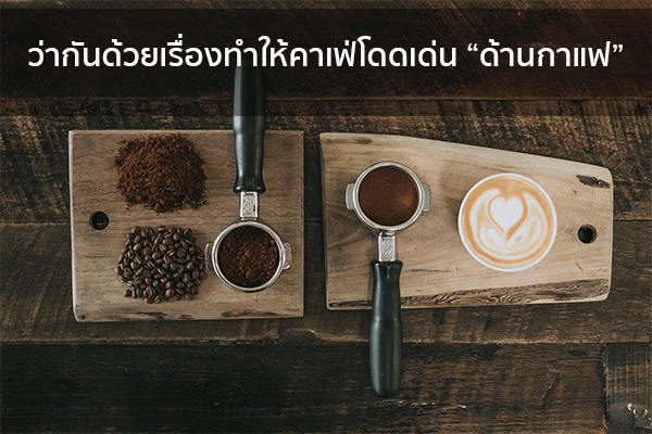 ว่ากันด้วยเรื่องทำให้คาเฟ่โดดเด่น “ด้านกาแฟ” ข่าวน่ารู้ อัพเดทสถานการณ์ เรื่องเล่า สาระความรู้ คู่ความบันเทิง